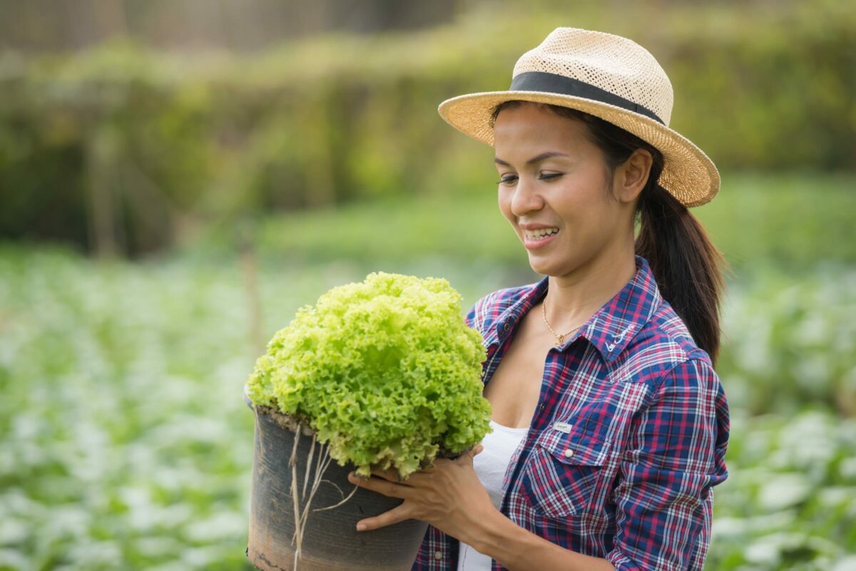 Heróis do Campo - Agricultura Orgânica vem ao resgate